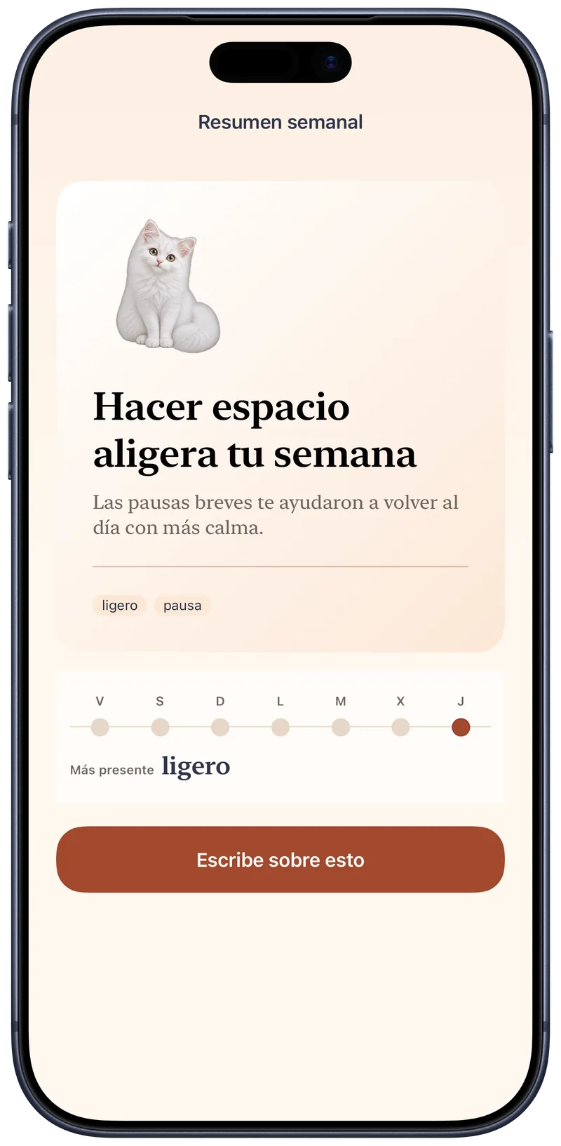 La reflexión semanal de Okito conecta las entradas de la semana