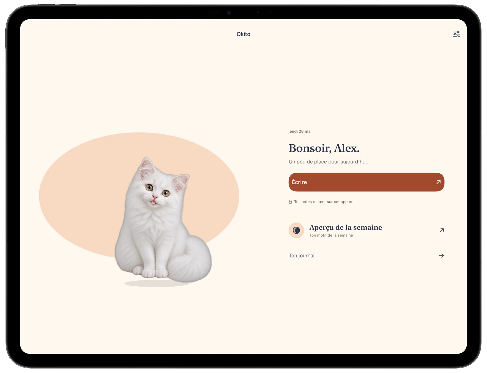 Journal et compagnon Okito côte à côte sur iPad