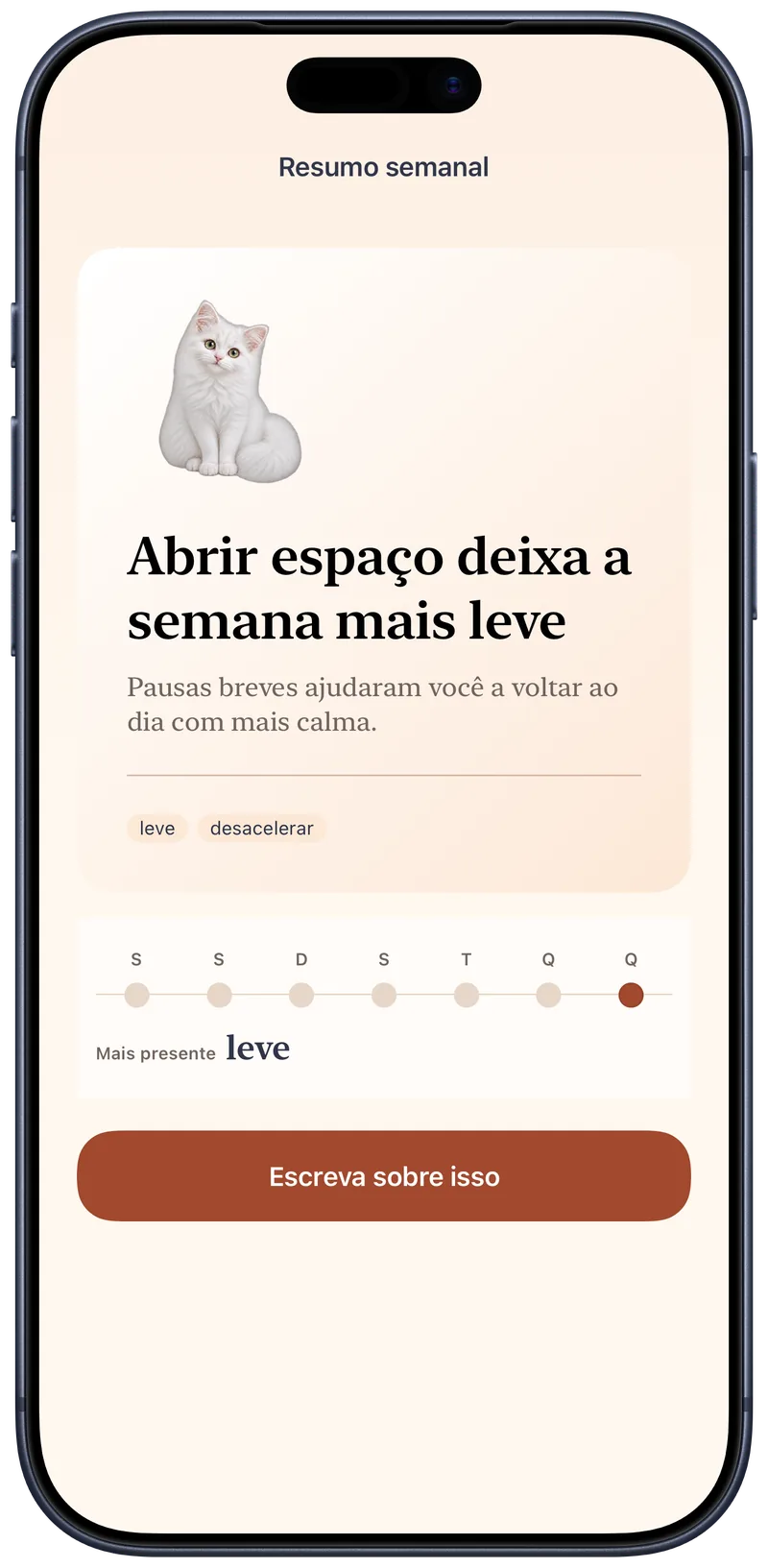 A reflexão semanal do Okito conecta os registros da semana