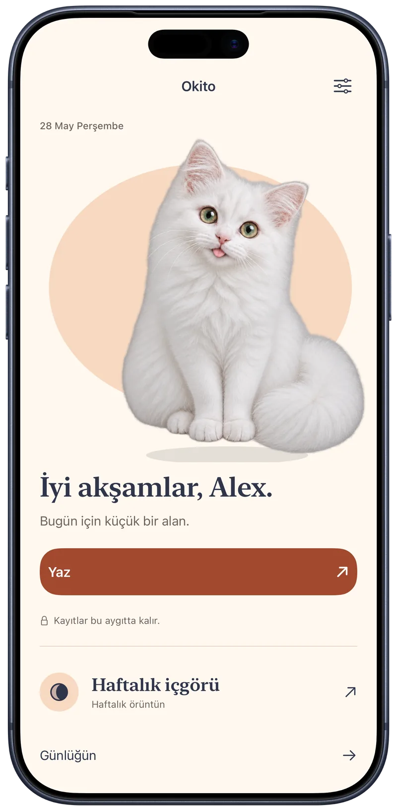 Beyaz kediyle Alex’i karşılayan ve yazmaya davet eden Okito ana ekranı