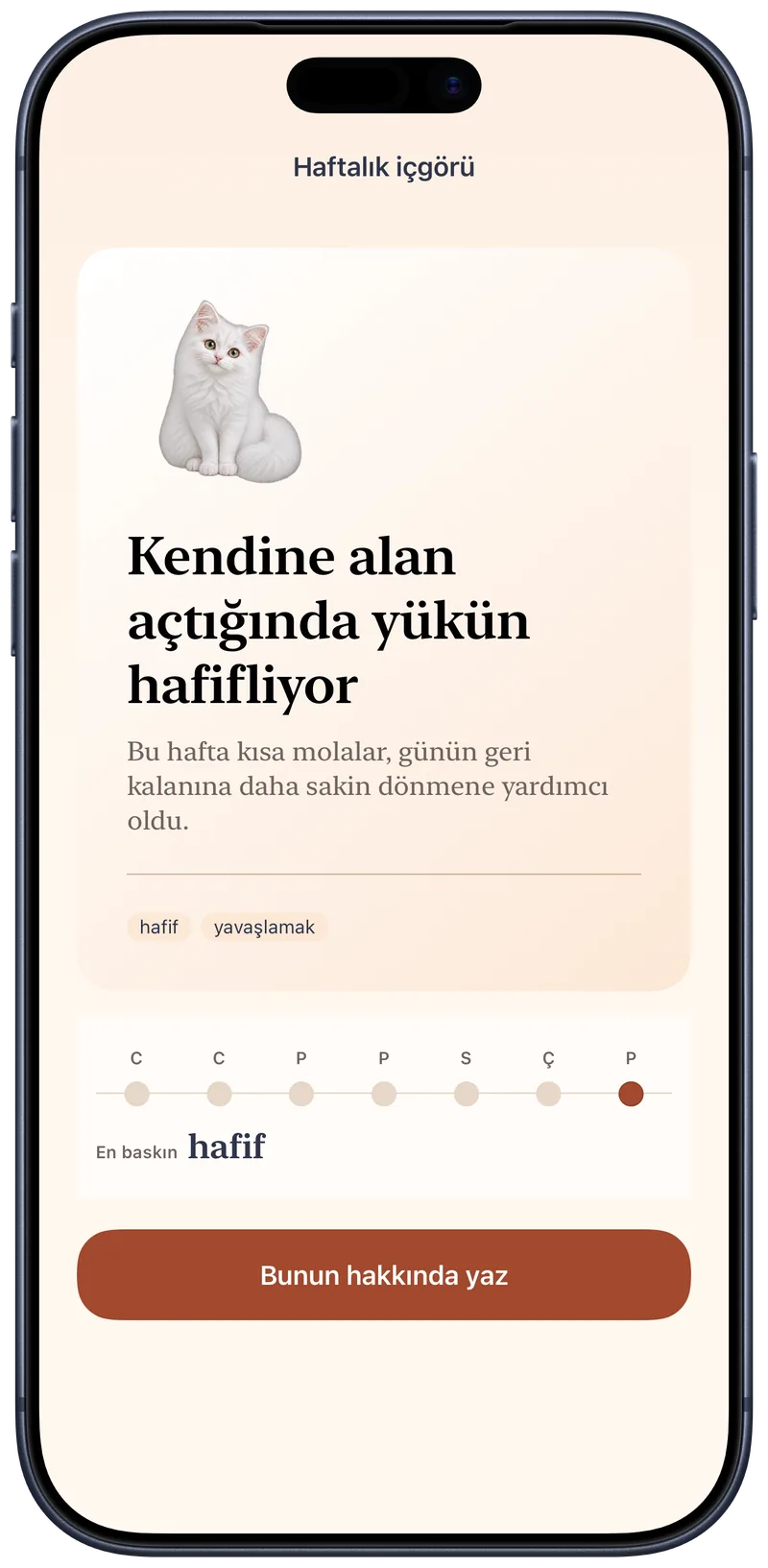 Haftanın günlük kayıtlarını ilişkilendiren Okito haftalık içgörüsü