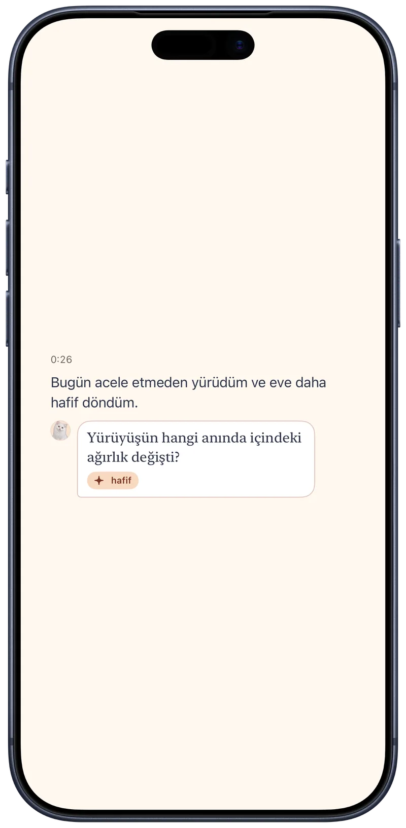 Bir günlük kaydı ve Okito’nun devam sorusu