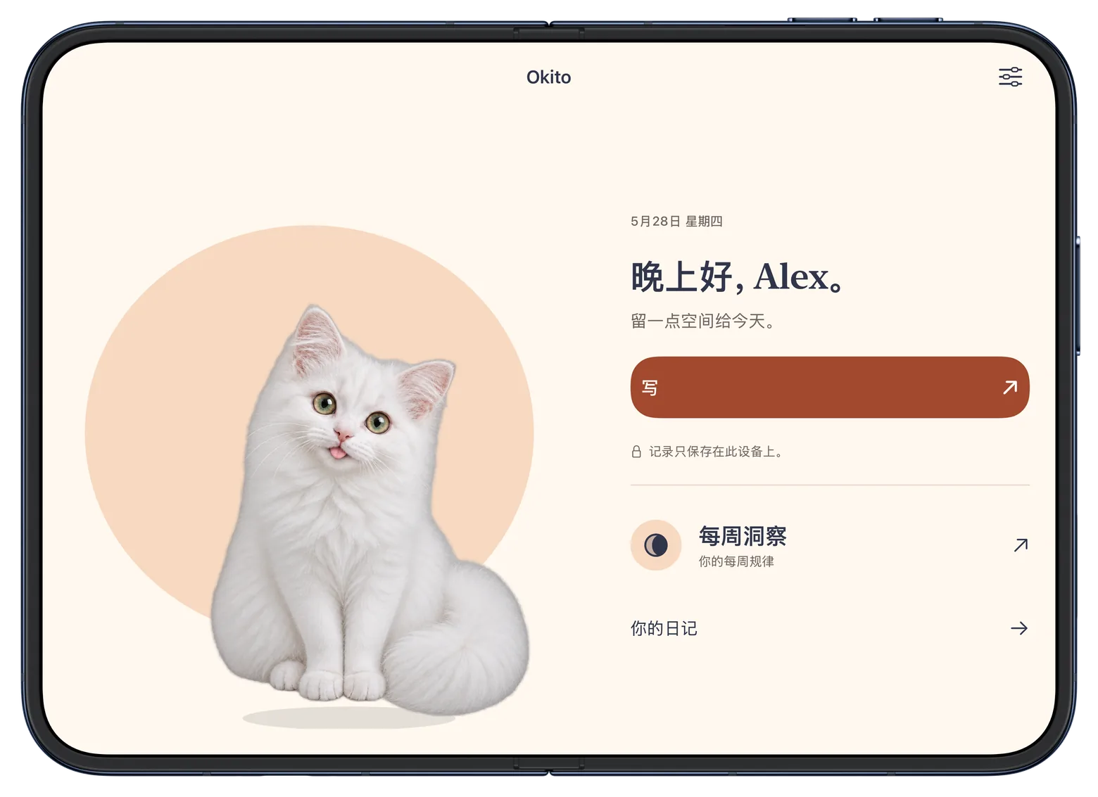 Okito 首页横跨 iPhone Duo 的两个宽屏区域