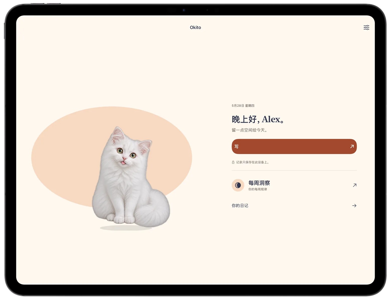 Okito 日记和伙伴在 iPad 上并排显示