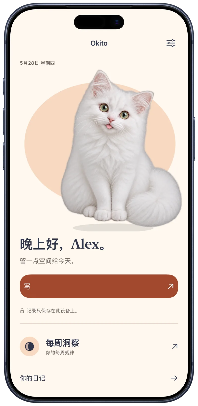 Okito 首页向 Alex 问好，画面中有一只白猫和一个私密写作按钮
